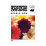Vibrant Daisy Flower Picture Photo Postage Stamp