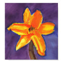 Vibrant Day Lily posters by lakeerieartists Vibrant Day Lily posters