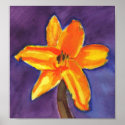 Vibrant Day Lily posters