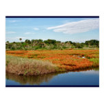 Vibrant Fall Marsh, Florida Post Card
