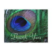 Vibrant feathers Postcard by webgrrl Vibrant feathers Postcard