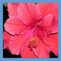vibrant floral canvas poster posters