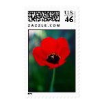 Vibrant Flower Postage