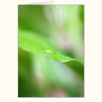 Vibrant Green. cards by Acorns_tree Vibrant Green. cards