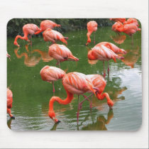 Vibrant in colour mousepads