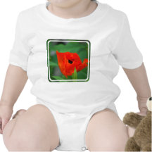 Vibrant Orange Poppy T-shirt