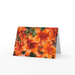 vibrant, orange, tiger, lilies, lily, bloom,