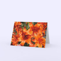 Vibrant Orange Tiger Lilies cards