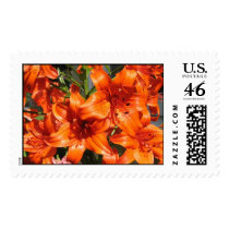 Vibrant Orange Tiger Lilies postage by charlesblack7 Vibrant Orange Tiger Lilies postage