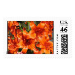 Vibrant Orange Tiger Lilies Stamp