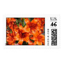 Vibrant Orange Tiger Lilies postage