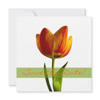Vibrant Orange Tulip Wedding Save the Date invitation