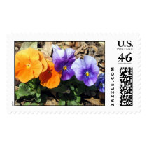 Vibrant Pansies postage by charlesblack7 Vibrant Pansies postage