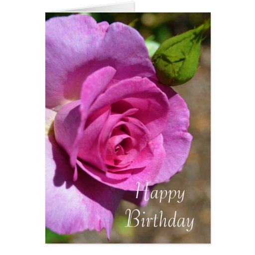 Vibrant Pink Rose Birthday Card
