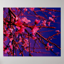 Vibrant Poster