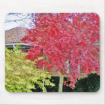 Vibrant Red Fall Tree mousepads