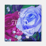 Vibrant Royal Roses Set Magnet