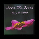 Vibrant Save The Date Magnet by pulsDesign Vibrant Save The Date Magnet