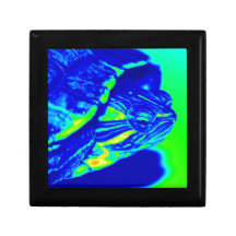 Vibrant Terrapin Jewelry Boxes