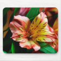 Vibrant Tiger Lily Mousepad
