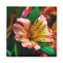 Vibrant Tigerlily Magnet