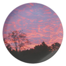 Vibrantly Pink Sunrise Plate
