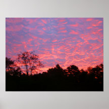 Vibrantly Pink Sunrise Posters