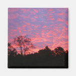 Vibrantly Pink Sunrise Refrigerator Magnets