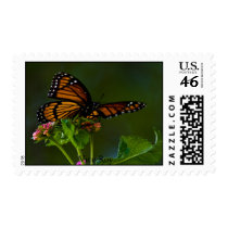 Vice Roy postage by Maileilani Vice Roy postage