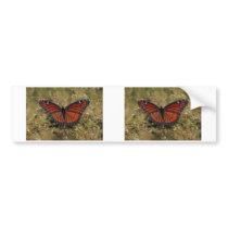 Viceroy 12/11 bumper sticker