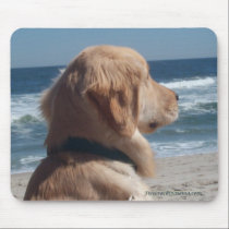 Viceroy At The Beach Mousepad by Firecrackinmama Viceroy At The Beach Mousepad