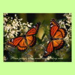 Viceroy Butterflies/Invitation to Renewal of Vows invitations