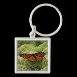 Viceroy Butterfly Keychain