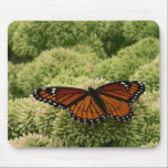 Viceroy Butterfly Mousepad