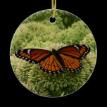 Viceroy Butterfly Ornament