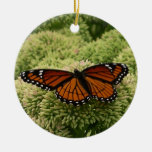 Viceroy Butterfly Ornament