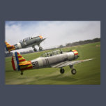Vichy Fledglings (2)