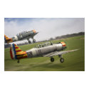 Vichy Fledglings (2) posters