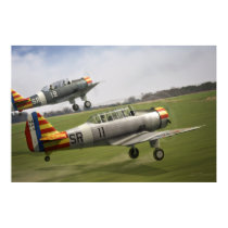 Vichy Fledglings (2) posters by Skyraider3D Vichy Fledglings (2) posters