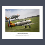 Vichy Fledglings