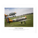 Vichy Fledglings posters