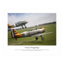 Vichy Fledglings posters by Skyraider3D Vichy Fledglings posters