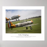 Vichy Fledglings Print