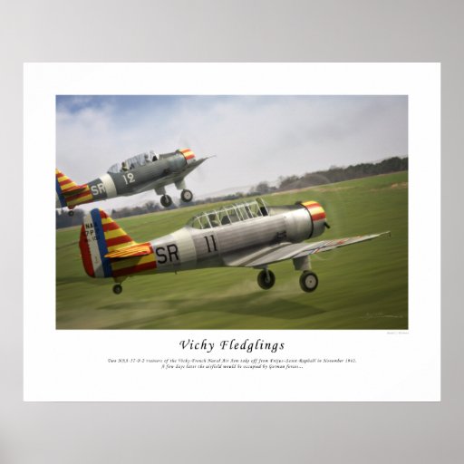 Vichy Fledglings Print