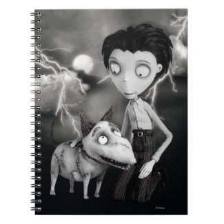 Victor and Sparky Journal