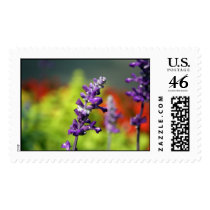Victoria Blues Postage Stamp by estjohn Victoria Blues Postage Stamp
