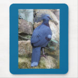 Victoria Crowned Pigeon - Goura victoria Mouse Pads