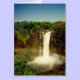 carib cards