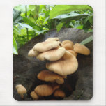 Victoria Peak- Mushrooms Mouse Pad