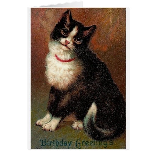 Victorian Black And White Cat Birthday Card Zazzle